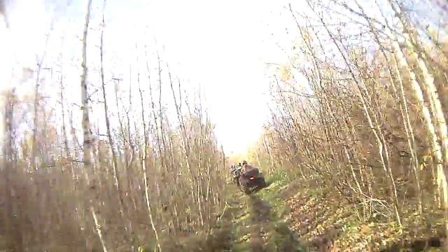 На Кошкино болото смотреть онлайн