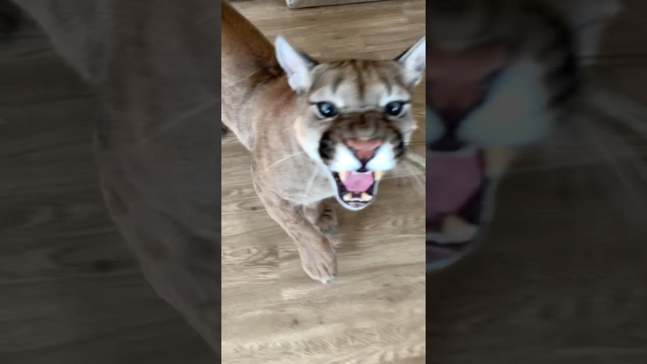 Ну и кто виноват? смотреть онлайн