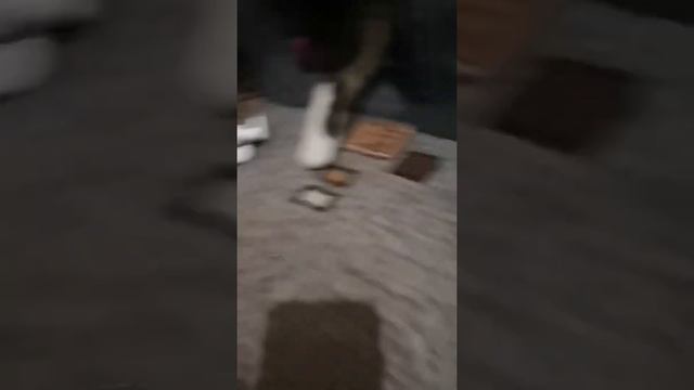 кого на план поставить вопросы смотреть онлайн
