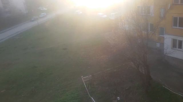 Магнолия грандифлора / ⛄🎄🎁💖💟💗☺🌼😎🌱🍀🌿🌳 смотреть онлайн