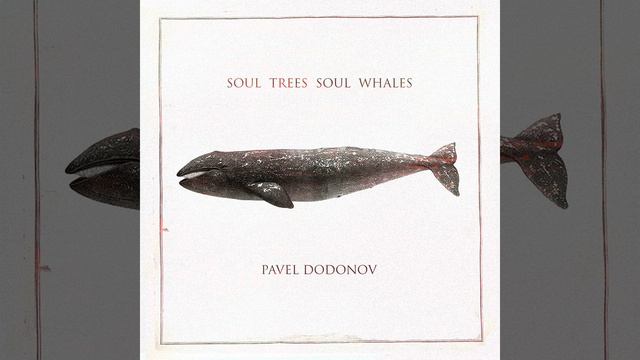 Soul Trees Soul Whales смотреть онлайн
