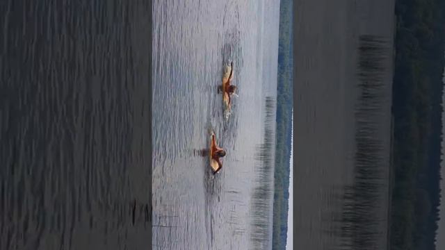 Лето 2018 дача смотреть онлайн