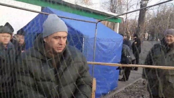 Ярмарка голубей в Луганске. Голуби из Донецка, Горловки и Красного Луча Николаеские и мелитопольски