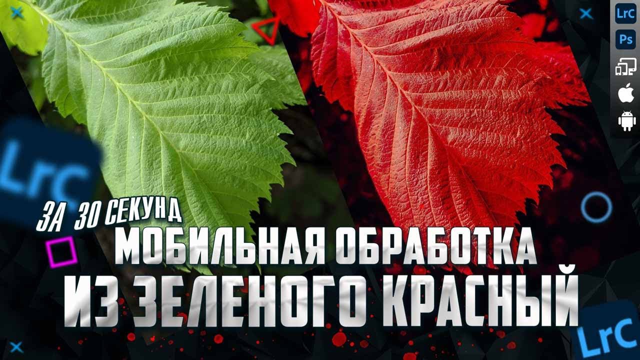Мобильная фотография / Как из зеленого сделать красный / Обработка фото в Lightroom mobile #shorts смотреть онлайн