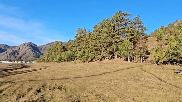 Продаю участок на Алтае, в Чемальском районе, около Лохматой фермы. смотреть онлайн