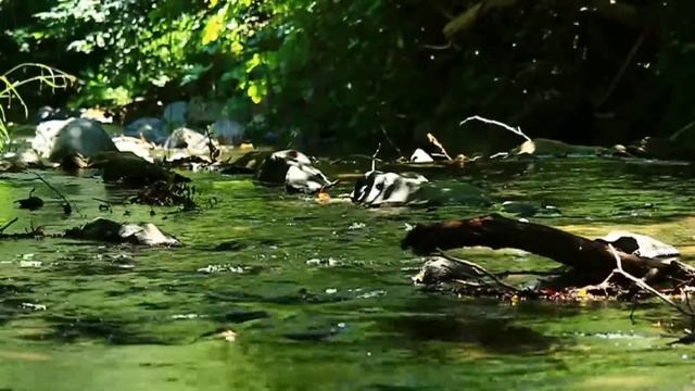 Om Shanti Om meditation ,Relaxing music , Morning deep music- Nature deep music , Mantra deep music смотреть онлайн