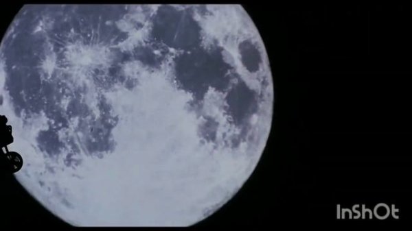 ADBF/SSI/Amblin Entertainment/Buena Vista Distribution Co., Inc. (1986) (For Seva)