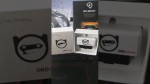 Вася Диагност или OBDeleven? Сравнение. Что выбрать?