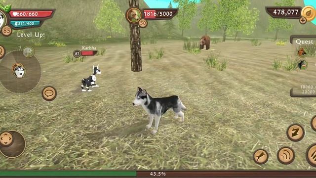 Dog Sim Online Multiplayer - Boss Battles - Dogs Vs Boss Bear - Gameplay Part 33 смотреть онлайн