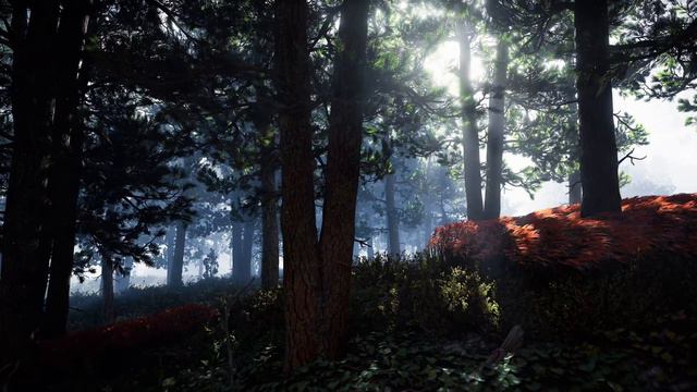 Epic PS5 Graphics - Horizon Forbidden West смотреть онлайн