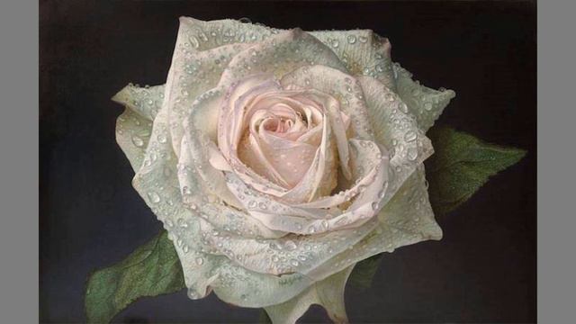 Large Flower Paintings Of Dewdrop Covered Roses █▬█ █ ▀█▀ By Gioacchino Passini смотреть онлайн