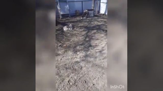 10.04.21.Уборка двора.Распоковка.Ужин . смотреть онлайн