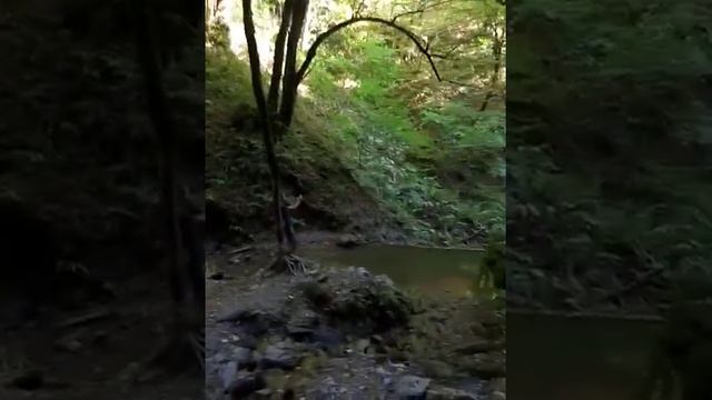 Красная Поляна(1) смотреть онлайн