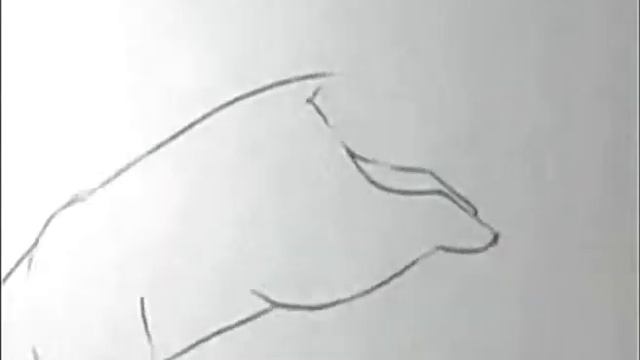 ПОЛЯРНЫЙ МЕДВЕДЬ смотреть онлайн
