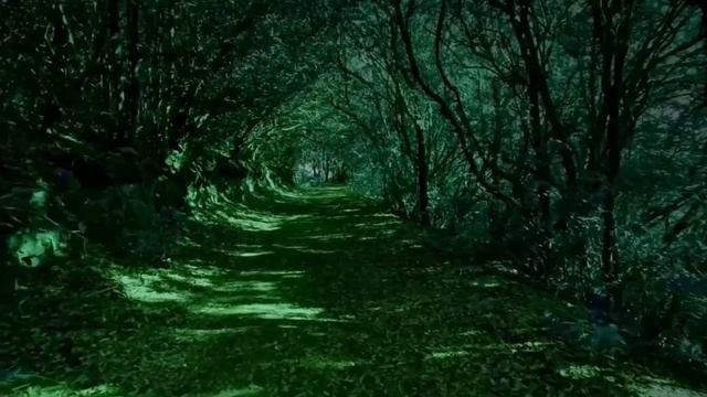 Тропинка через лес смотреть онлайн