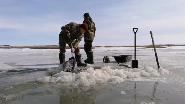 Рыбалка тягой. смотреть онлайн