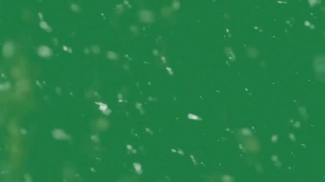 ❄Снег футаж #2 Зелёный фон ▌Snow footage #2 Green Screen ❄ смотреть онлайн