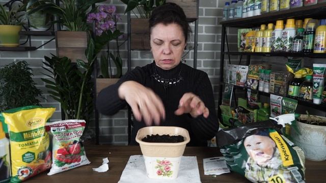 Сажаем самый острый перец ?️Посадка домашнего перца смотреть онлайн