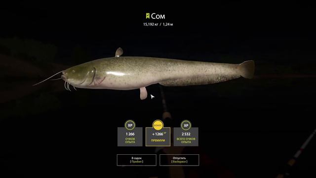 Русская рыбалка 4 l Russian fishing 4. СОМ. Консервный завод, река АХТУБА. смотреть онлайн