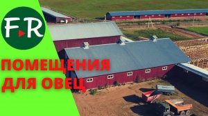 Устройство помещений для овец. Родильные отделения, навесы для круглогодичного содержания овец.