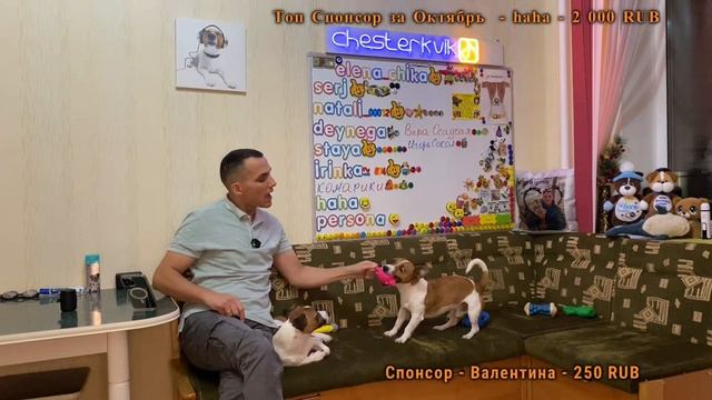 Человек Собаке Друг / 12.10.2023