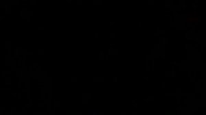 Из-за чего не горят поворотники на ВАЗ 2106