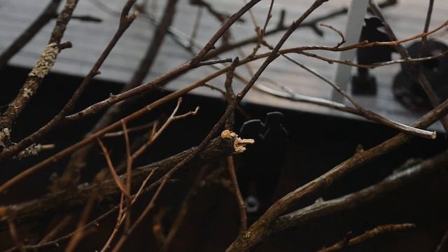 Хейфец. Все мои сыновья. смотреть онлайн