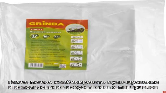 Как правильно укрыть абрикос на зиму и подготовить дерево к холодам смотреть онлайн