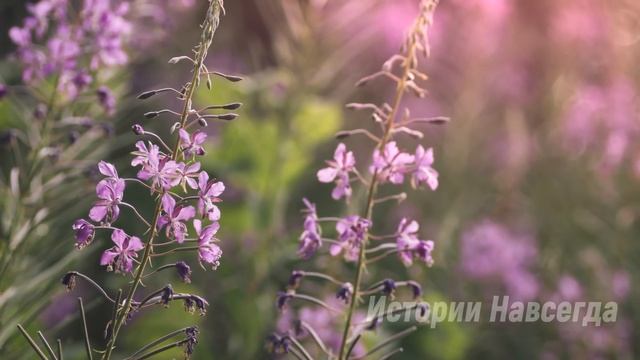 Управляющая проследила за официанткой и узнала, что она делает… смотреть онлайн