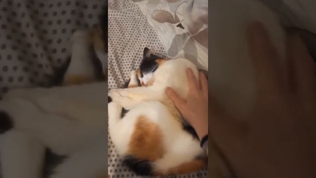 Вита спит. Крепкий сон смотреть онлайн