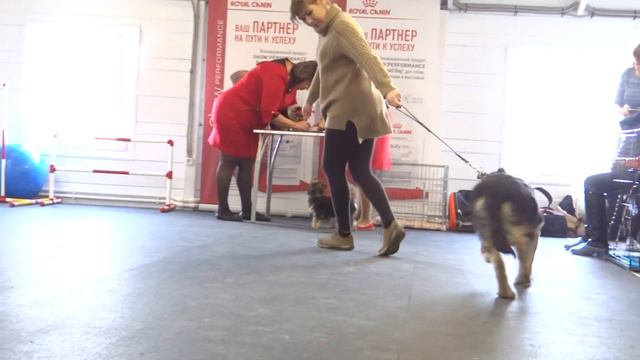 Восточный Стиль Оберег, 4 месяца