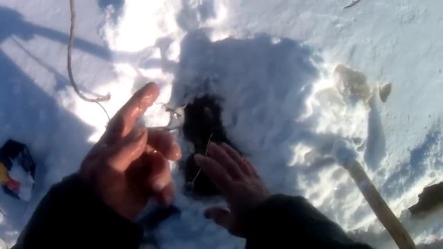 Обь.Жерлицы.Наледь №189 смотреть онлайн