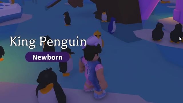 Opening *NEW* KING PENGUINS in Adopt Me! смотреть онлайн