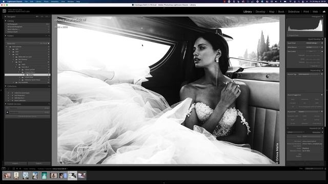 Nik Collection 4 Tutorial: New Copy & Paste Function with Nik Silver Efex смотреть онлайн