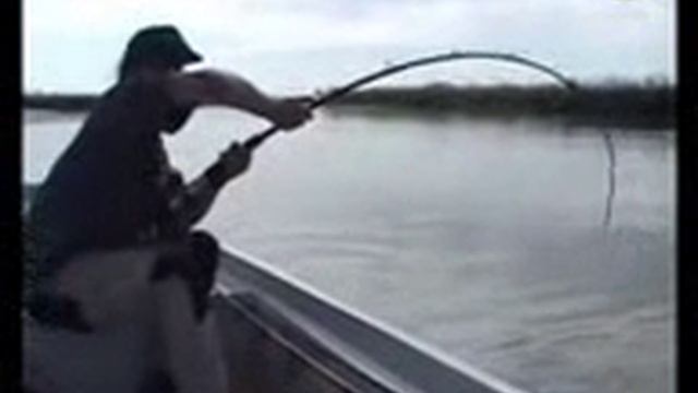 Рыба сом-001_002.3gp смотреть онлайн