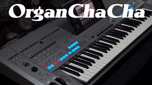 Tyros 5 Preset Styles - OrganChaCha смотреть онлайн