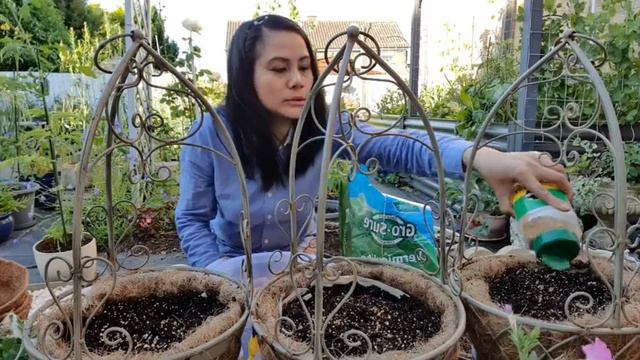 Planting Hanging Baskets 9 Secret Formula Organic Growing Tips UK Garden Manila London Guide смотреть онлайн