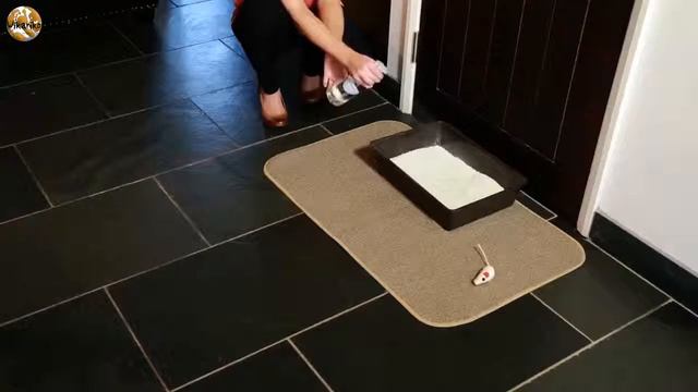 Ecoegg Spray & Refresh смотреть онлайн