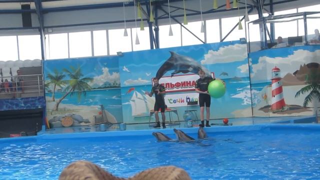 Дельфины танцуют ламбаду. Дельфинарий Сочи-парка смотреть онлайн