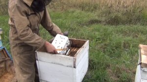Кормушки Своими Руками Быстро и Дешево ПОДКОРМКА ПЧЕЛ ОСЕНЬЮ  Пчелы Осенью #кормушки #бп