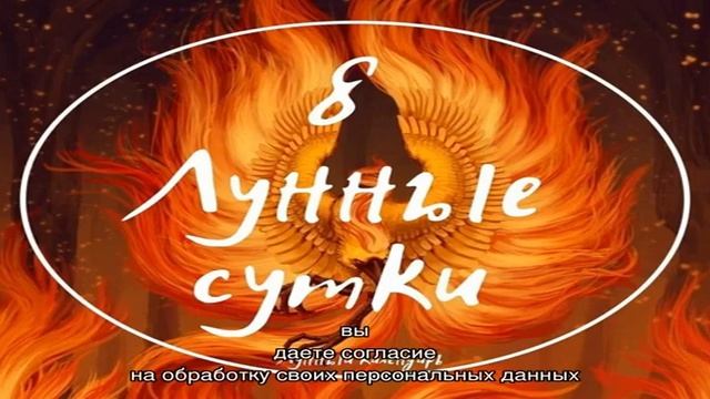 8, Восьмые Лунные сутки смотреть онлайн