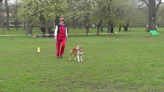 Обидиенс-3. УСКЦ "Останкино" 02.05.2015 г. смотреть онлайн