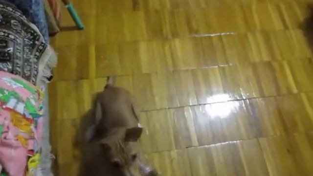 Сидеть, лежать смотреть онлайн