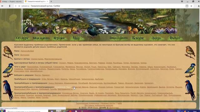 CatWar Куда пойти или остаться в Деревне