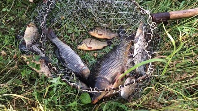 Рыбалка и отдых в Пермском крае смотреть онлайн