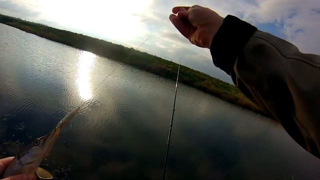 Начало сезона. Малые водоёмы смотреть онлайн