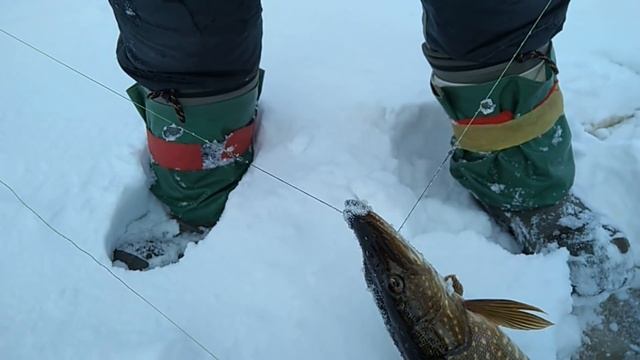 Зимняя рыбалка на Печоре 2022 смотреть онлайн