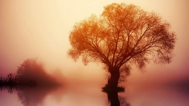 Beautiful Deep Sleep Music,Relaxing Sounds For Sleep,Recharge Energy