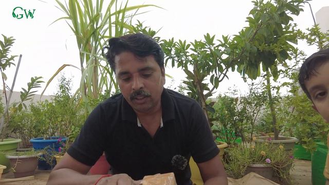 होम गार्डनिंग कैसे शुरू करें | Winter Season tips and tricks | होम गार्डनिंग को उपयोगी कैसे बनायें смотреть онлайн