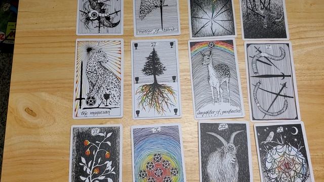 Episode #8: Tarot/Oracle A Year Ahead Spread смотреть онлайн